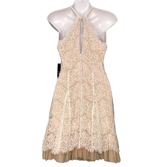 NWT Trixxi Halter Lace Mini Dress - Picture 3 of 7